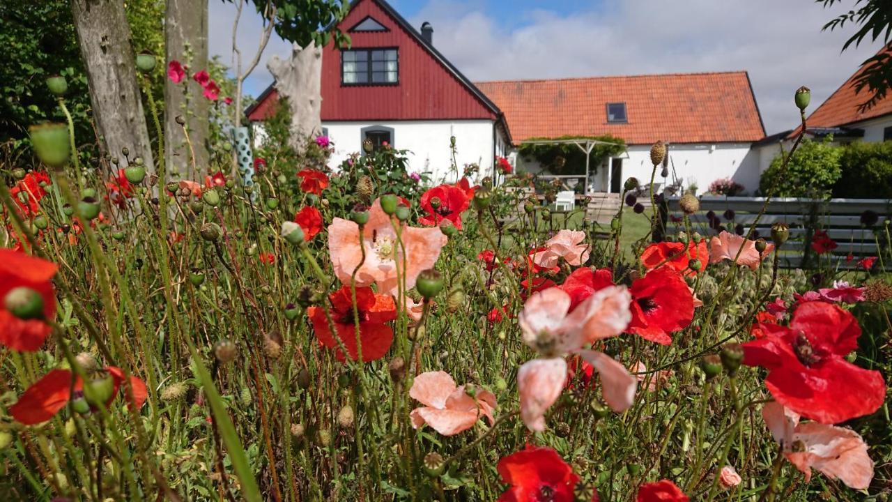Garden Mellan Slotten Svarte Экстерьер фото