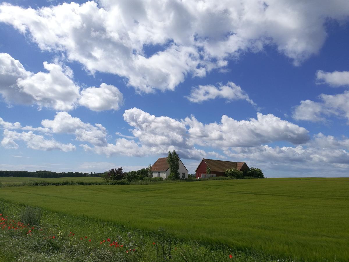 Garden Mellan Slotten Svarte Экстерьер фото